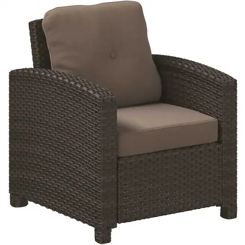 Miles Stationary Wicker Outdoor Lounge Chair with Beige Cushion Black