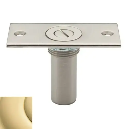 Locking Dustproof Strike Unlacquered Brass Finish Locking Dustproof Strike Unlacquered Brass Finish