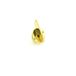 Bright Polished Brass