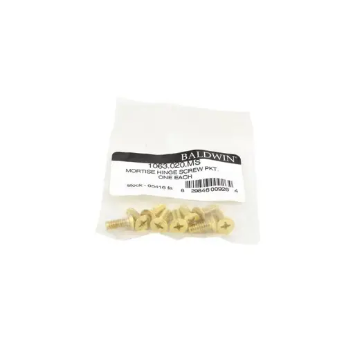 020 MS Screw Pack Bright Brass Finish