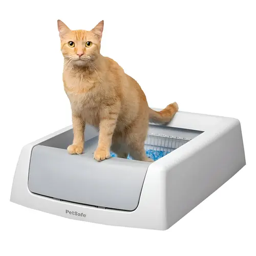 ScoopFree Litter Box, 20.4 in W, 29 in D, Plastic ScoopFree Litter Box, 20.4 in W, 29 in D, Plastic