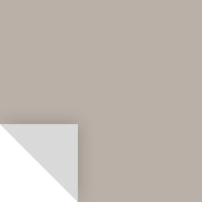 Samplize Peel & Stick Color Sample Benjamin Moore Silver Fox 2108-50 Silver Fox - pack of 8 BM210850-XCP8