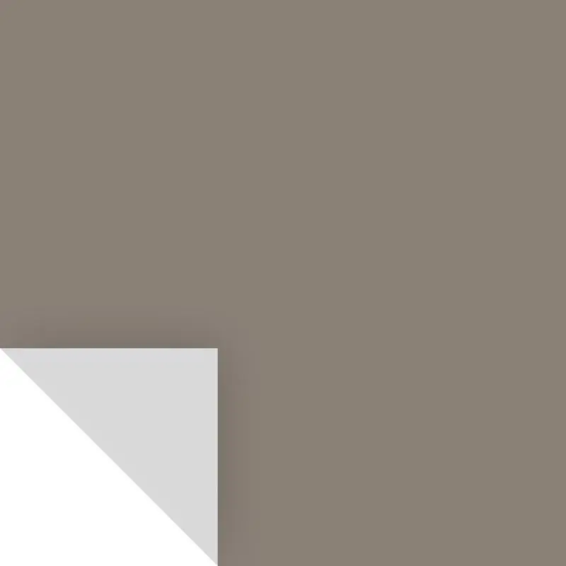 Samplize Peel & Stick Color Sample Benjamin Moore Taos Taupe 2111-40 Taos Taupe - pack of 8 BM211140-XCP8