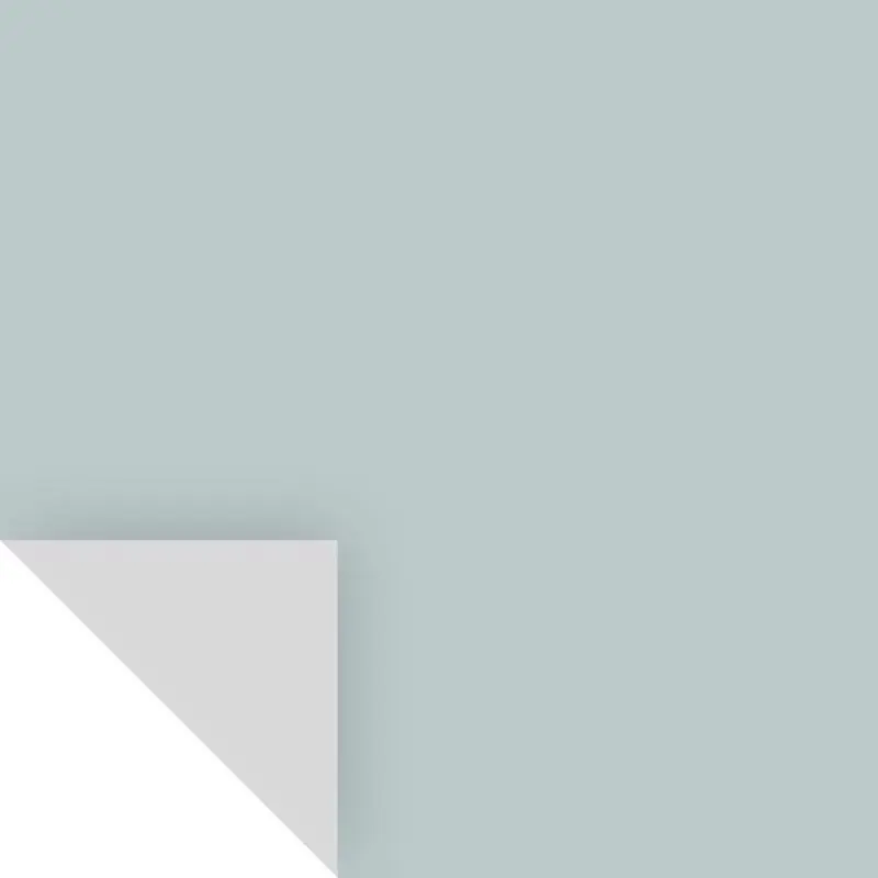 Samplize Peel & Stick Color Sample Benjamin Moore Smoke 2122-40 Smoke - pack of 8 BM212240-XCP8