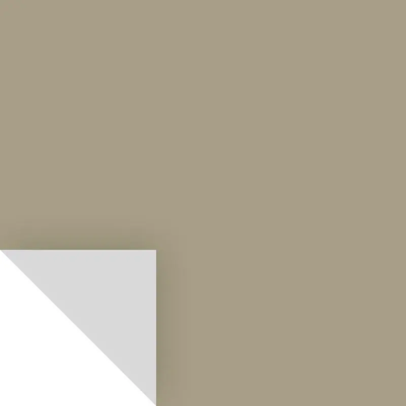 Samplize Peel & Stick Color Sample Benjamin Moore Dry Sage 2142-40 Dry Sage - pack of 8 BM214240-XCP8