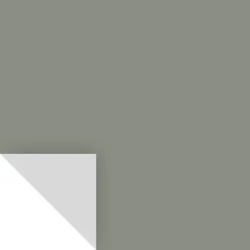 Peel & Stick Color Sample Benjamin Moore Carolina Gull 2138-40 Carolina Gull Peel & Stick Color Sample Benjamin Moore Carolina Gull 2138-40 Carolina Gull