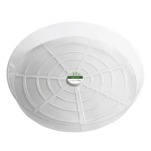 Plant Saucer 17" D Plastic Clear Clear - pack of 25