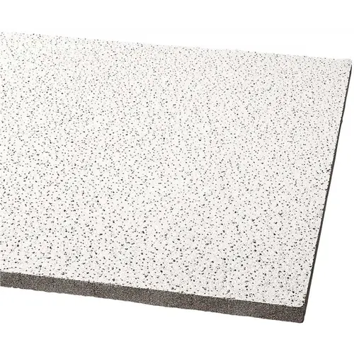 Armstrong CEILINGS Fine Fissured 2 ft. x 2 ft. Lay-In Ceiling Tile ( 64 sq.ft. / case) White - pack of 16