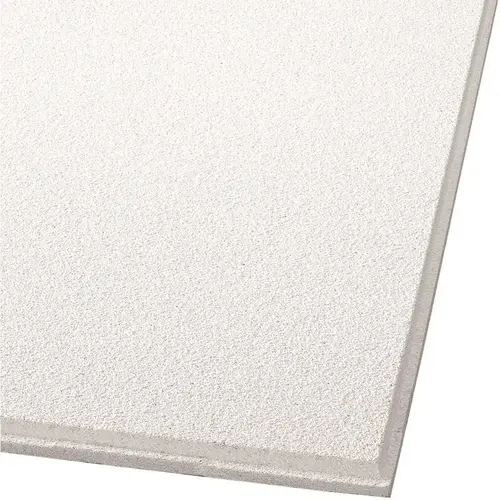 Armstrong CEILINGS Dune 2 ft. x 2 ft. Tegular Ceiling Panel Ceiling Tile (64 sq. ft./case) White - pack of 16