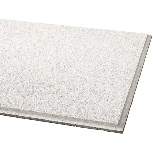Armstrong Ceilings Cirrus Humiguard 2 ft. x 2 ft. Tegular Ceiling Tile (48 sq. ft./case) White - pack of 12