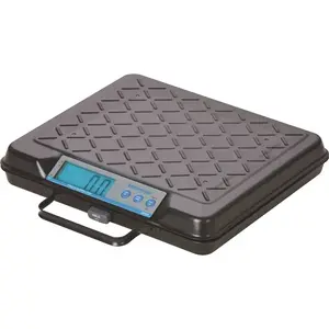 Brecknell SBWGP250 250 lbs. Capacity 12 in. x 10 in. Platform Portable Electronic Utility Bench Scale Black