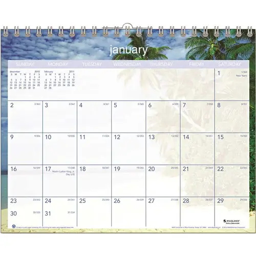 TROPICAL ESCAPE MONTHLY WALL CALENDAR, 15 IN. X 12 IN., 2013