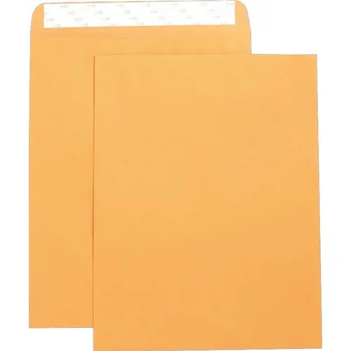 CATALOG ENVELOPES, SELF SEAL, PLAIN, 10 IN. X 13 IN., , KRAFT