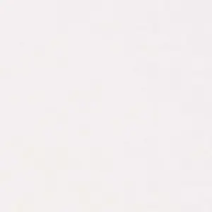 SpectraTile SPT6020P Finale Waterproof Ceiling Tile 2 ft. x 2 ft. White