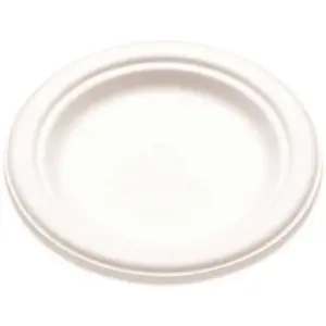 BRIDGE-GATE WHBRG-06 6 in. White Bagasse Plate - pack of 1000