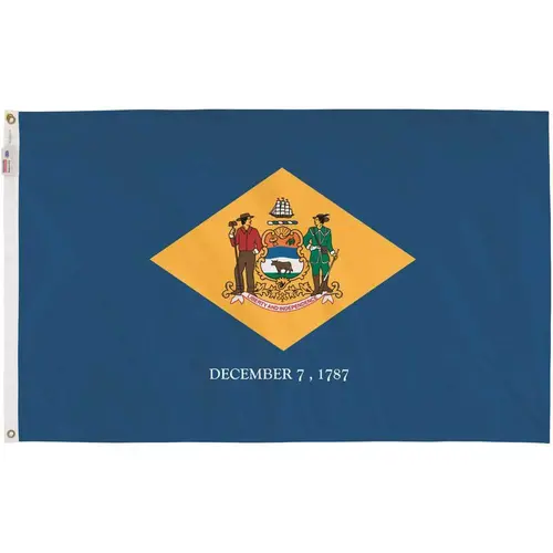3 ft. x 5 ft. Nylon Delaware State Flag 3 ft. x 5 ft. Nylon Delaware State Flag