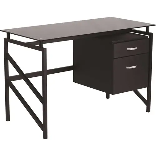 46 in. Black Rectangular 2 -Drawer Computer Desk with File Storage