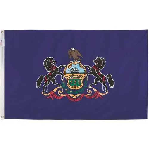 3 ft. x 5 ft. Nylon Pennsylvania State Flag 3 ft. x 5 ft. Nylon Pennsylvania State Flag