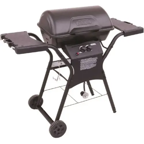6000X 2-Burner Portable Propane Gas Grill in Black