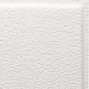 Parkland Plastics, Inc. SPT3050P SpectraTile Tegular Waterproof 2 ft. x 2 ft. White Ceiling Tile