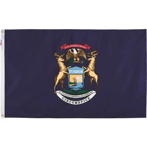 3 ft. x 5 ft. Nylon Michigan State Flag