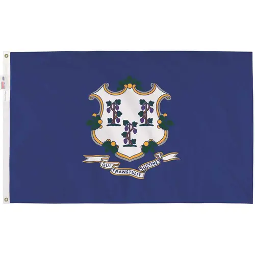 3 ft. x 5 ft. Nylon Connecticut State Flag 3 ft. x 5 ft. Nylon Connecticut State Flag