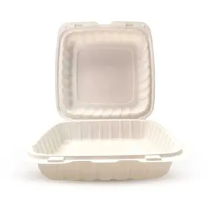 Empress Earth EPPHL-91 9 in. x 9 in. x 3 in. Natural Mineral Filled PP 1-Compartment Hinged Container 150-Per Case - pack of 150