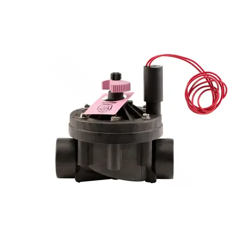 2" Filter Sentry Globe Valve With Flow Control