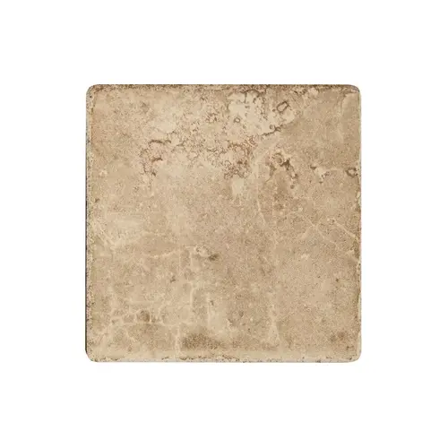 Cattan 6x6 Sbn  Catania Sand Tan Sbn 6x6 Sbn