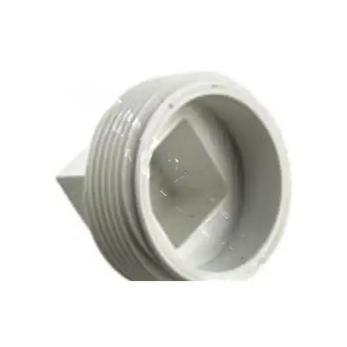 WATERWAY 2" PLUG NPT White