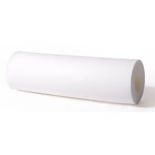 Dolphin Wonder Brush Dolphin Wonder Brush