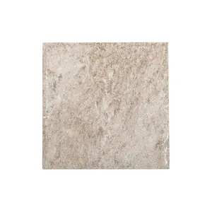 NPT GST-SAND 6