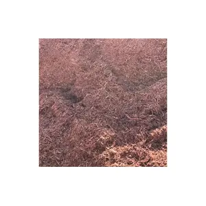 Boyett 903 Red Mulch