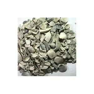 Bermont Excavating 102 Medium Washed Shell