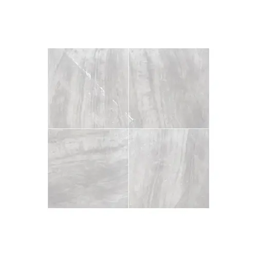 24" X 24" X 2 Cm Porcelain Paver Praia Grey