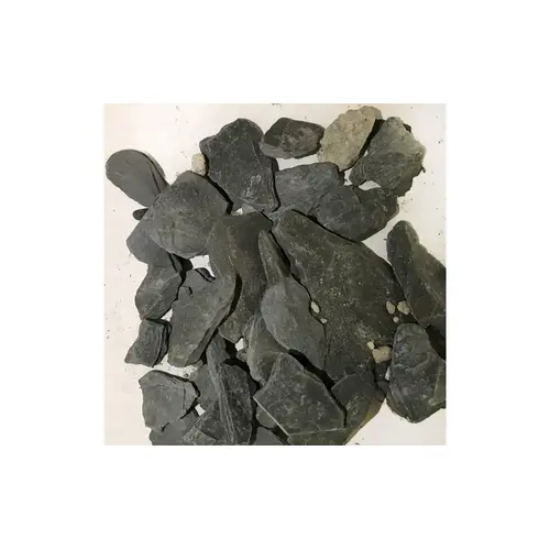 Black Luster Black Luster