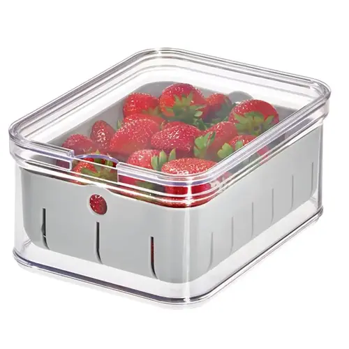 BERRY STORAGE BIN PLST CLR/GRY - pack of 6 BERRY STORAGE BIN PLST CLR/GRY - pack of 6