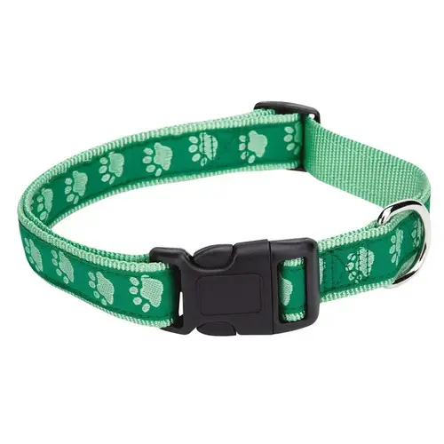 Dog Collar, 6 to 10 in L Collar, 3/8 in W Collar, Nylon, Green Dog Collar, 6 to 10 in L Collar, 3/8 in W Collar, Nylon, Green
