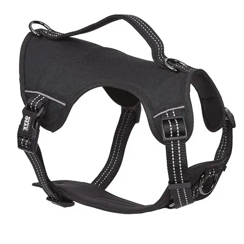 Reflective Harness, 12 to 20 in, Fastening Method: O-Ring Strap, Nylon Harness, Jet Black Reflective Harness, 12 to 20 in, Fastening Method: O-Ring Strap, Nylon Harness, Jet Black