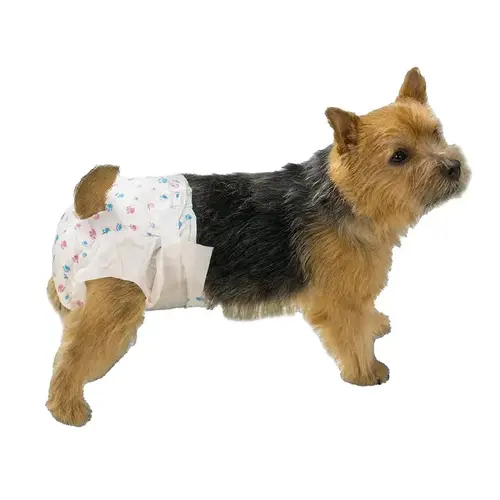 Clear Quest Disposable Doggy Diaper Clear Quest Disposable Doggy Diaper