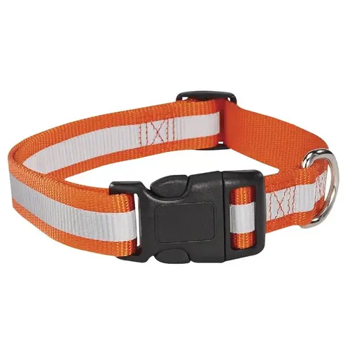 Dog Collar, 6 to 10 in L Collar, 3/8 in W Collar, Nylon, Orange Dog Collar, 6 to 10 in L Collar, 3/8 in W Collar, Nylon, Orange