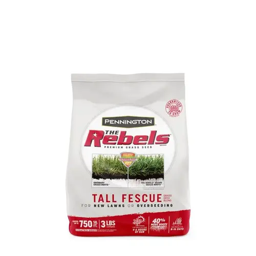 SEED REBEL TALL FESCUE MIX 3LB Dark Green SEED REBEL TALL FESCUE MIX 3LB Dark Green