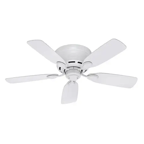 Fan Low Profile 42 In 5-Blade Indoor Ceiling Fan (White)