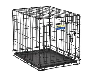 dog&co 　POINT-H Dog & Co. in San Francisco | DOG & CO.