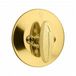 Bright Brass
