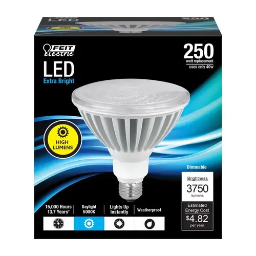 LED Bulb LED PAR38 E26 (Medium) Daylight 250 Watt Equivalence Frosted LED Bulb LED PAR38 E26 (Medium) Daylight 250 Watt Equivalence Frosted