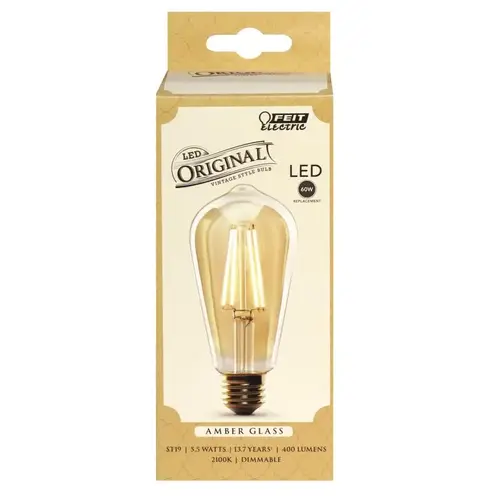 LED Bulb, Decorative, ST19 Lamp, 60 W Equivalent, E26 Lamp Base, Dimmable, Amber Clear LED Bulb, Decorative, ST19 Lamp, 60 W Equivalent, E26 Lamp Base, Dimmable, Amber Clear