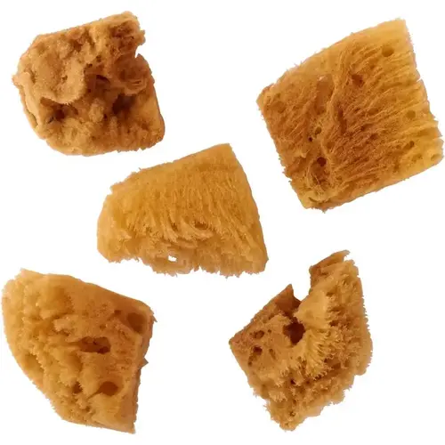 Sea Sponge FoldArt Assorted