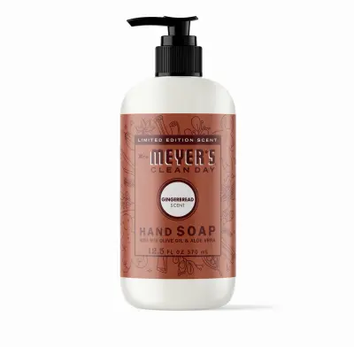LIFESTYLE BRANDS 12.5OZ Ginger Hand Soap - pack of 6 12013-XCP6
