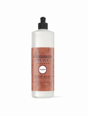 LIFESTYLE BRANDS 16OZ Ginger Dish Soap - pack of 6 12014-XCP6